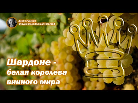 Видео: Шардоне - белая королева винного мира