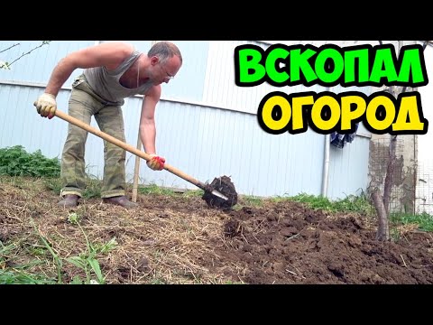 Видео: Сюжет из жизни в деревне о том, как я вскопал огород на 2-х участках материнской усадьбы в 2022