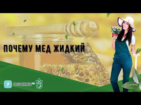 Видео: Почему мед жидкий