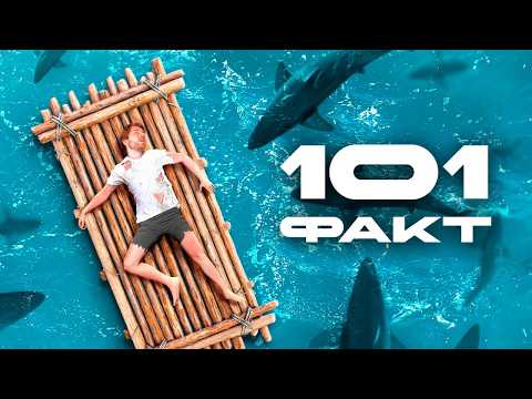 Видео: 101 ФАКТ, который СПАСЕТ твою ЖИЗНЬ