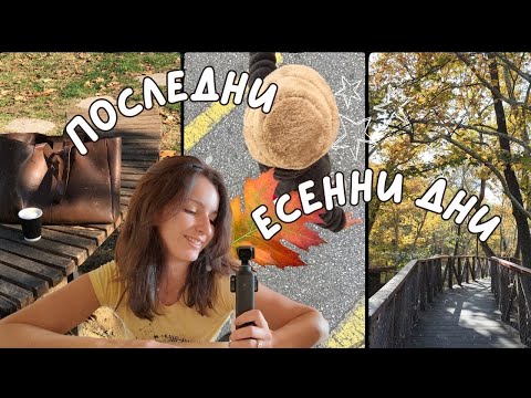 Видео: ГРИЖА ЗА КОСАТА | ПОДРЕДИ С МЕН | ЕСЕН В САНДАНСКИ