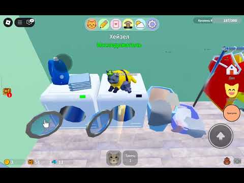 Видео: Играем в игру с котятами :3