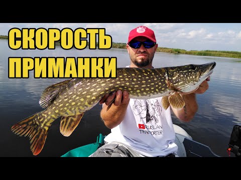 Видео: Скорость приманки на щуку.