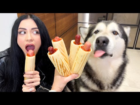Видео: КТО ПЕРВЫЙ СЪЕСТ HOT DOG ? СОБАКА или ХОЗЯЙКА