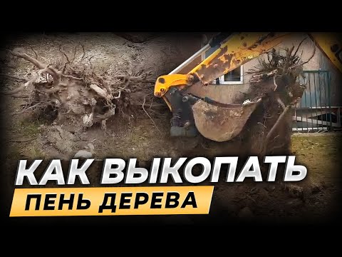 Видео: Как быстро убрать пень от яблони на дачном участке