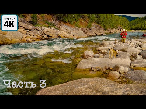 Видео: Путешествие о котором мечтает каждый рыбак (ч. 3) | Встреча с медведем, ловим хариуса, горная река