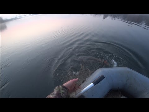 Видео: Рыбалка на сети! Царь трофеев