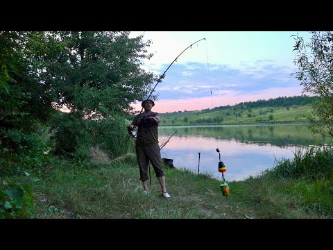 Видео: У нас і в «задуху» клює! Ловля товстолоба на поплавок! Рибалка з ночовкою на сільському ставку!