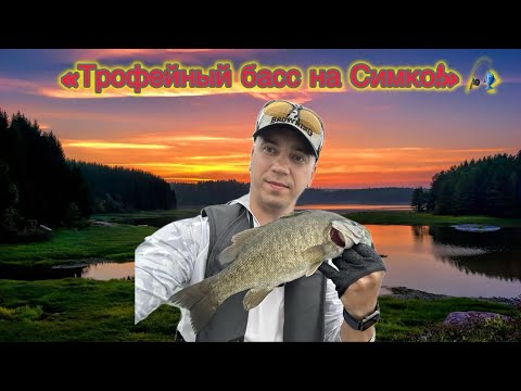 Видео: Рыбалка на басса в Канаде | Большеротый и малоротый окунь, озеро Симко (Cook’s Bay)