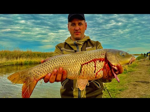 Видео: ДОНКИ ВЫДАЮТ ТРОФЕЕВ! ОТКРЫТИЕ РЫБАЛКИ НА КОРМУШКИ! РЫБАЛКА 2025!Рыбалка на Сазана