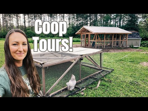 Видео: Экскурсия по моим 4 курятникам | Знакомство с новыми цыплятами в стаде!