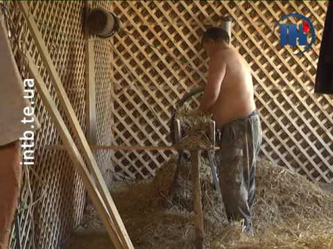 Видео: Тернополянин будує собі дім із соломи