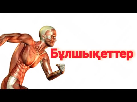 Видео: Бұлшықет Құрылысы | Физиологиясы