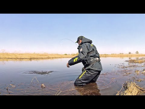 Видео: Мормышинг взабродку. С ТАКИМ КЛЁВОМ На Спиннинг и удочку не надо!