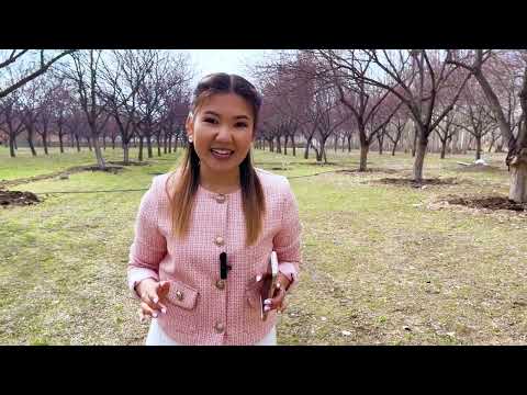 Видео: Баткен облусу, Баткен району, Мин-Орук айылы 2023 "БИЗДИН АЙЫЛ" телекорсотуусу