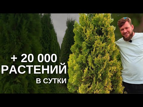 Видео: +20 000 растений в сутки