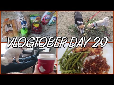 Видео: ОТ ЗАНЯТОСТИ К КОМФОРТНОМУ — VLOGTOBER 2025 — ДЕНЬ 29