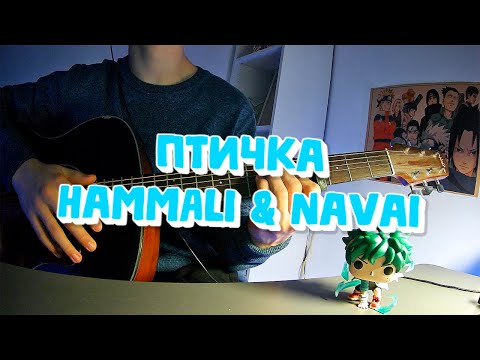 Видео: Птичка | Cover | Кавер | HammAli & Navai | #каверподгитару #guitar #songcover #гитара #music