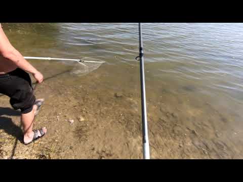 Видео: Новый способ ловли рыбы !!