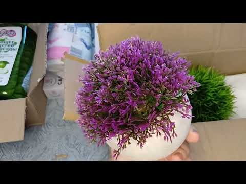 Видео: 🌺 ПОКУПКИ 📦WILDBERRIES И OZON 🌺