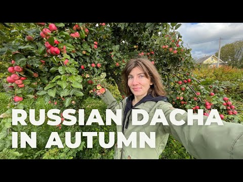 Видео: РУССКАЯ ДАЧА ОСЕНЬЮ. Влог на медленном русском с русскими и английскими субтитрами.Говорим по-русски