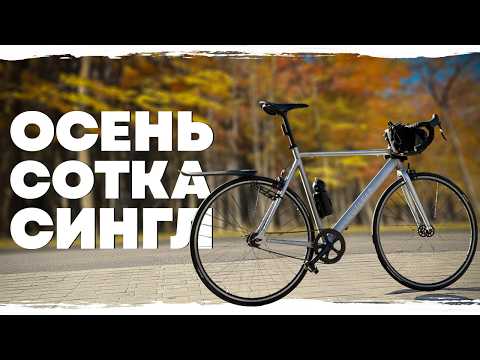 Видео: 100 км на велосипеде и итоги сезона 2025