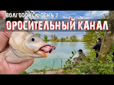 Видео: Борзые караси и ГОРЫ мусора! Знакомство с ОРОСИТЕЛЬНЫМ КАНАЛОМ Волгодонска