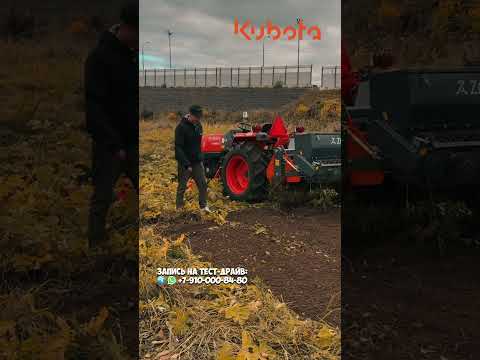 Видео: Творит волшебство! Можно смотреть вечно! Стоунбурьер и Кубота #трактор #минитрактор #купитьтрактор
