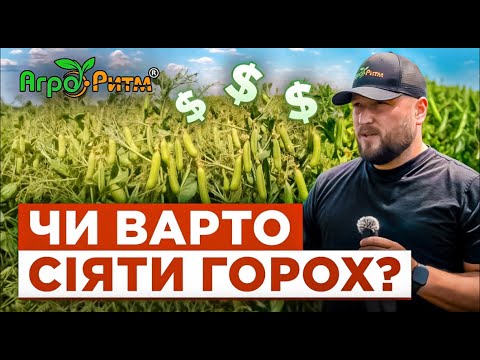 Видео: ВСЕ,ЩО ТРЕБА ЗНАТИ ПРО ГОРОХ