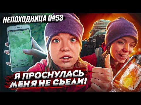Видео: ПОХОДНОЕ УТРО ПОСЛЕ НОЧИ СО ЗВЕРЯМИ. СМОТРЮ ОКРЕСТНОСТИ И ИДУ ДОМОЙ. НЕПОХОДНИЦА