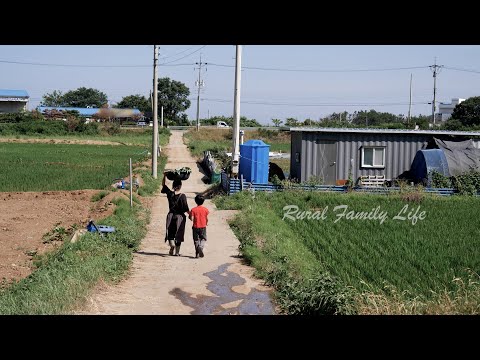 Видео: Летний пир с грядок: Бибимбап с портулаком и прозрачный суп с говядиной и тыквой 🍲 |
