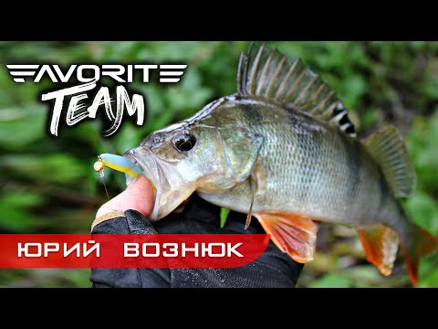 Видео: ОСЕННИЙ ОКУНЬ  на микро речке. Тактика и техника ловли. Favorite Team