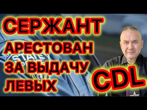 Видео: За махинации с получением CDL-прав арестован сержант полиции 