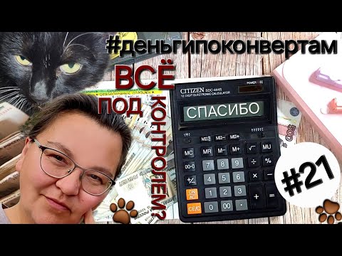 Видео: Система денежных конвертов✉️/Распределяю ₽ под контролем🐾/ОДНА В ДЕРЕВНЕ👱🏼‍♀️