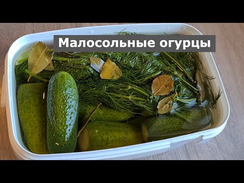 Видео: Малосольные, хрустящие огурцы, быстрый рецепт. Самый правильный способ засолки. Очень вкусная еда.