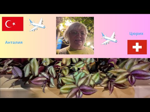 Видео: Вот так меня проводила Турция и встретила Швейцария