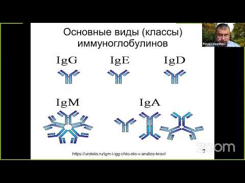 Видео: Левашов П.А. и др. Иммуноферментный анализ – современный ключевой метод клинической диагностики...