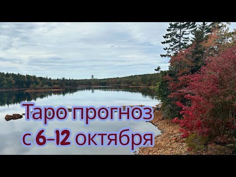 Видео: «Через иллюзии — к обновлению»