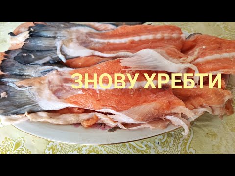 Видео: Що можна ще приготувати з ХРЕБТІВ ЛОСОСЯ...