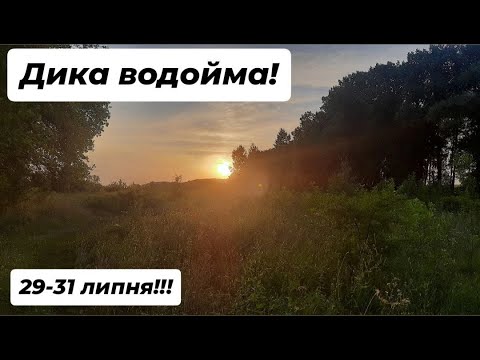 Видео: Риболовля з 29.07 по  31.07.2025 дві ночі та один день на дикарі в Сумській області.