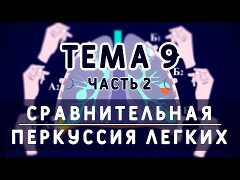 Видео: Тема 9. Сравнительная перкуссия легких (часть 2)