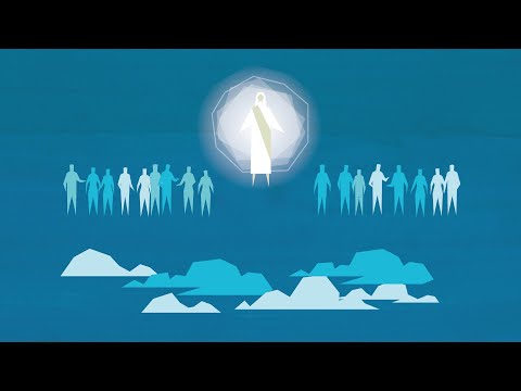 Видео: Откуда мы пришли?