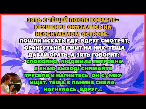 Видео: Как зять и тёща на острове застряли! Сборник свежих анекдотов! Юмор!