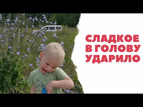 Видео: Путешествие в Новосибирск через Барабинск на Машине Всей Семьей из Омска. Много Кушаем и Едем