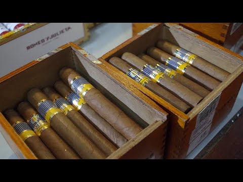 Видео: Кубински пури! Златото на Куба. Част II