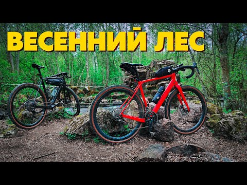 Видео: ГРАВИЙНЫЕ ПРИКЛЮЧЕНИЯ от @LaRuta-cycling  | Велопокатушка