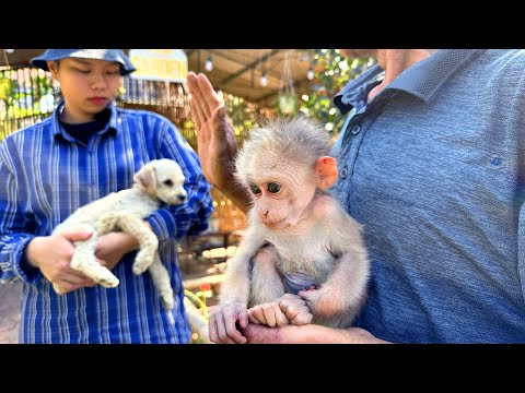 Видео: День вакцинации Люси и супер-зеленый наряд Каки💉🌿👕💚🐒