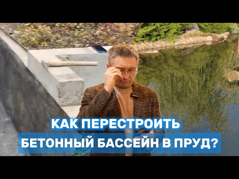 Видео: Как перестроить бетонный бассейн в пруд? Вопрос - ответ