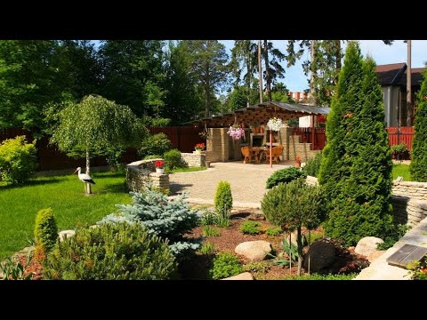 Видео: Вдохновляющие идеи для обустройства вашего сада / Inspiring ideas for landscaping your garden plot