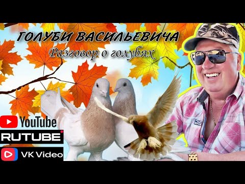 Видео: Разговор о голубях, голуби Васильевича. Готовим Самаркандские плов. Гоняем голубей. Бойные голуби.
